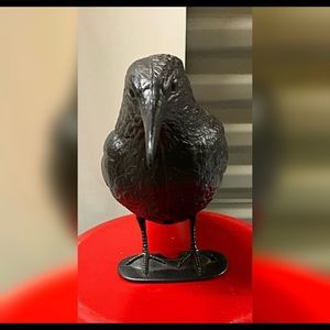 Plastic raven